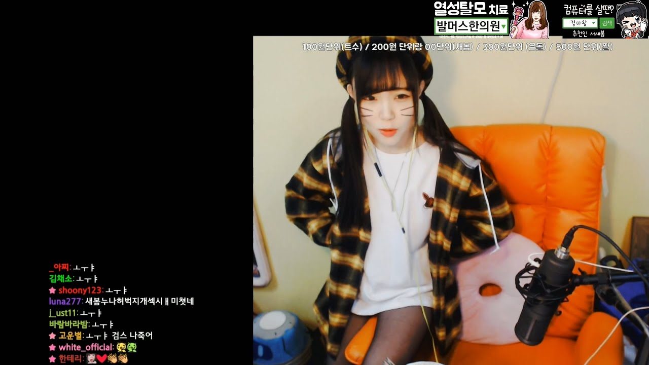 서새봄냥