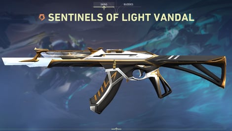 1 Valorant Sentinels of Light Vandal Skin