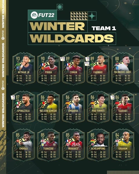 1 Winter Wildcards