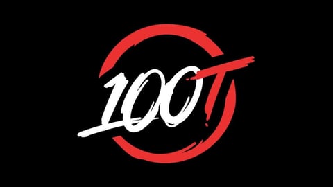 100 thieves