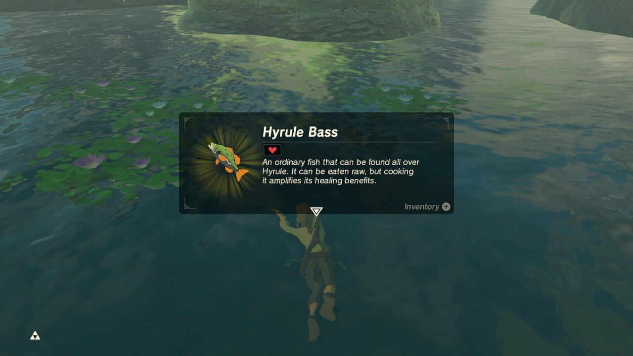 Link finding fish in Zelda Breath of the Wild