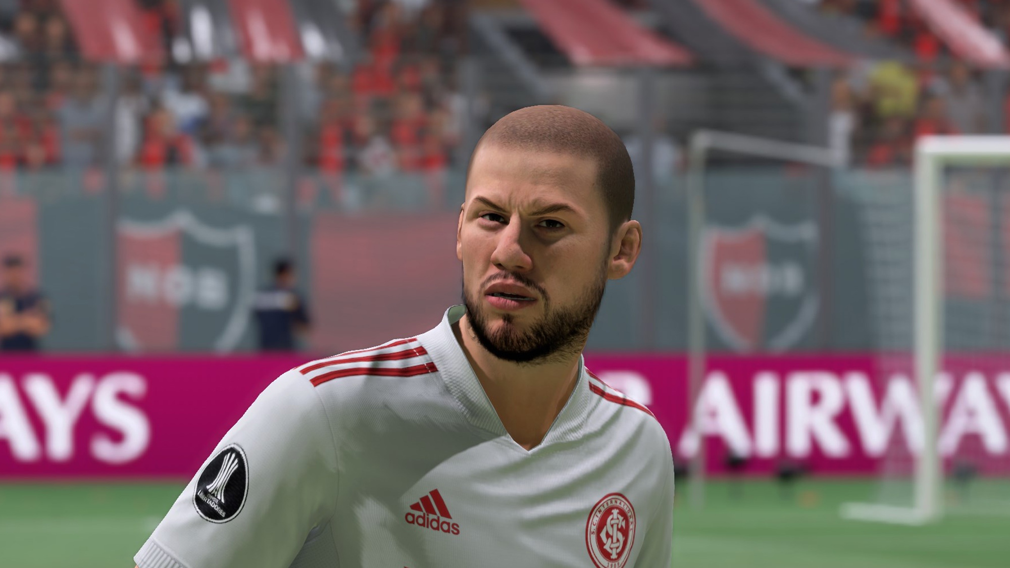 8 Armao