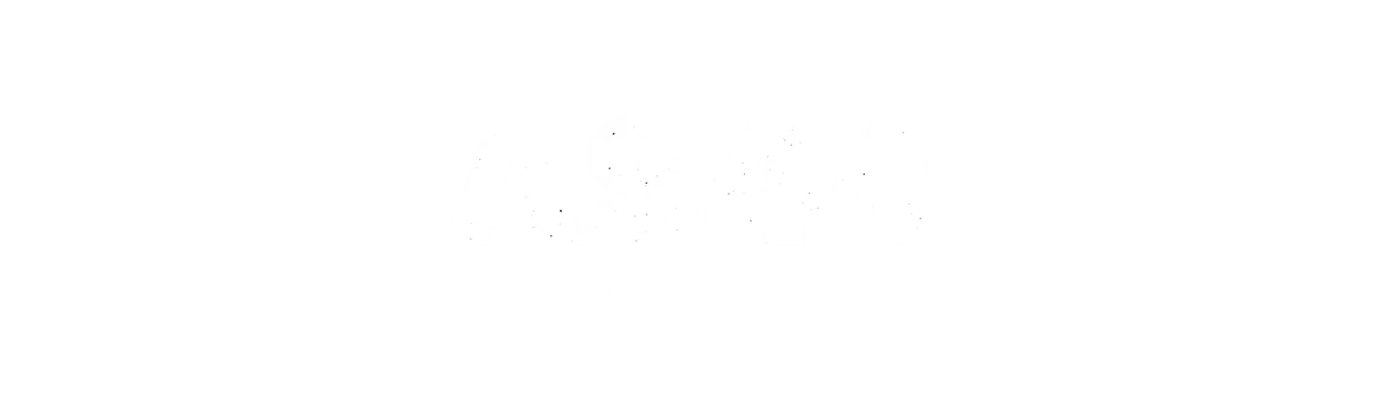 AS44 loadout