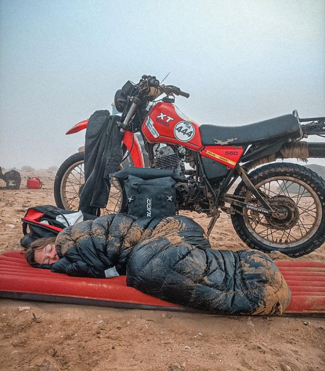 Affe auf Bike Insta