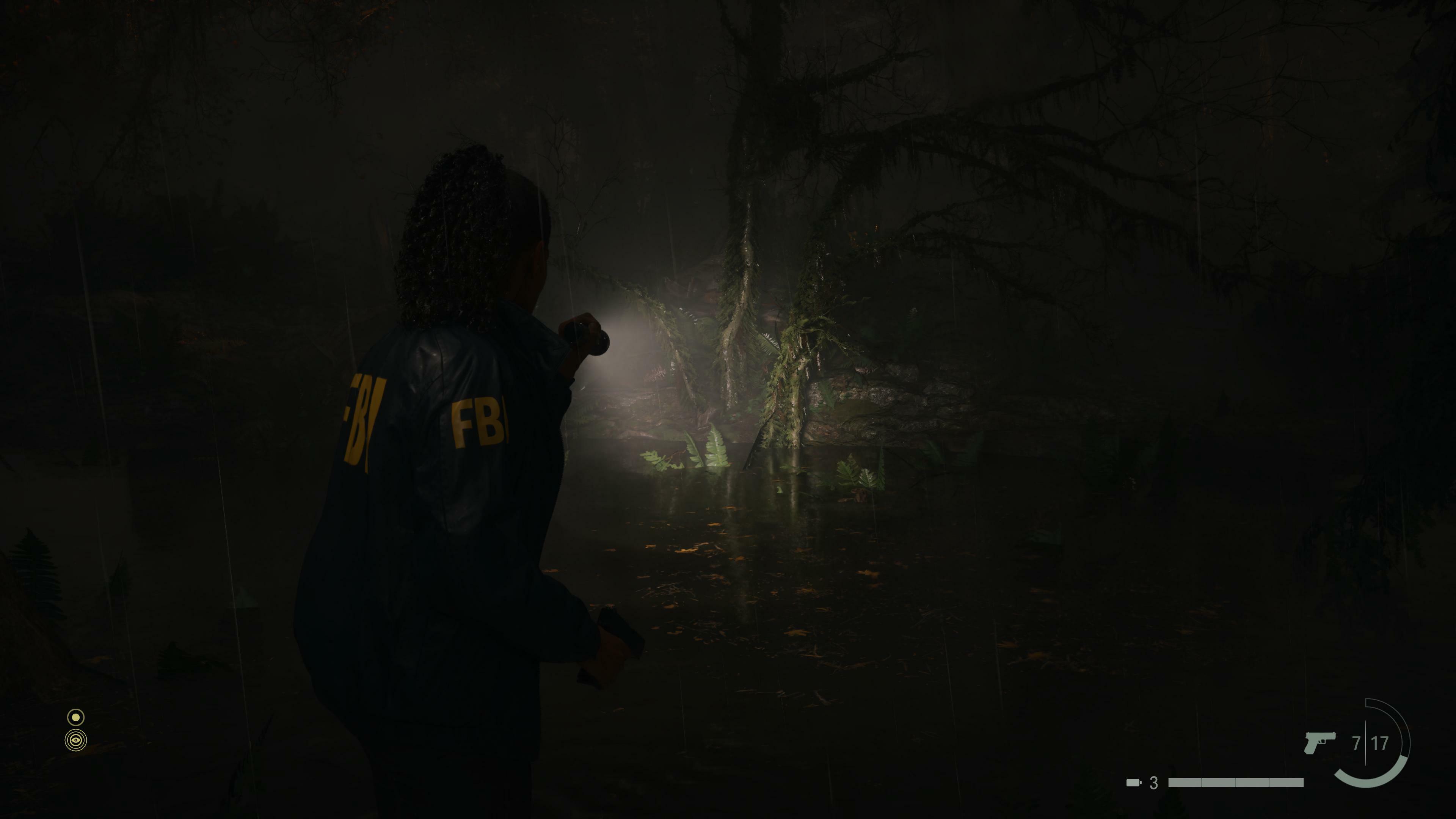 Alan Wake 2 Swamp