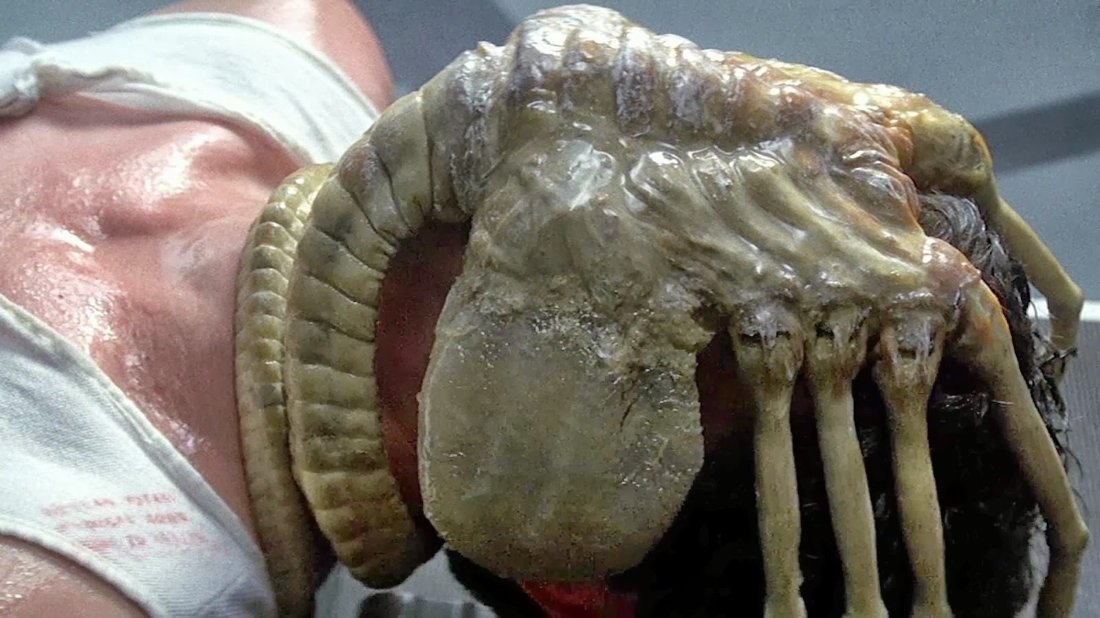 Facehugger from Alien