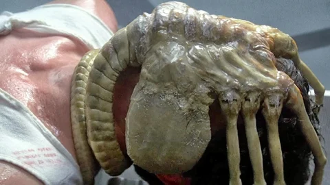 Alien Facehugger