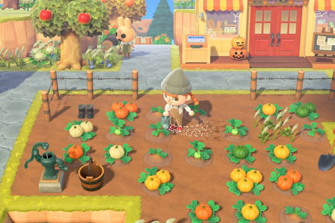 Animal Crossing New Horizons Garden