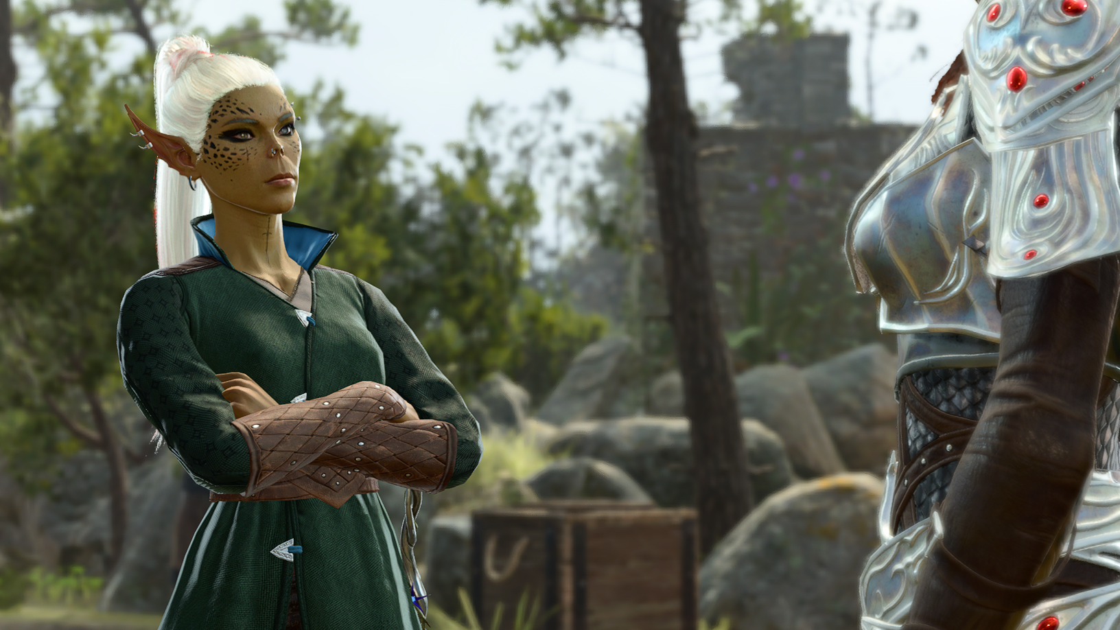 Baldurs Gate 3 Changing Appearance 1
