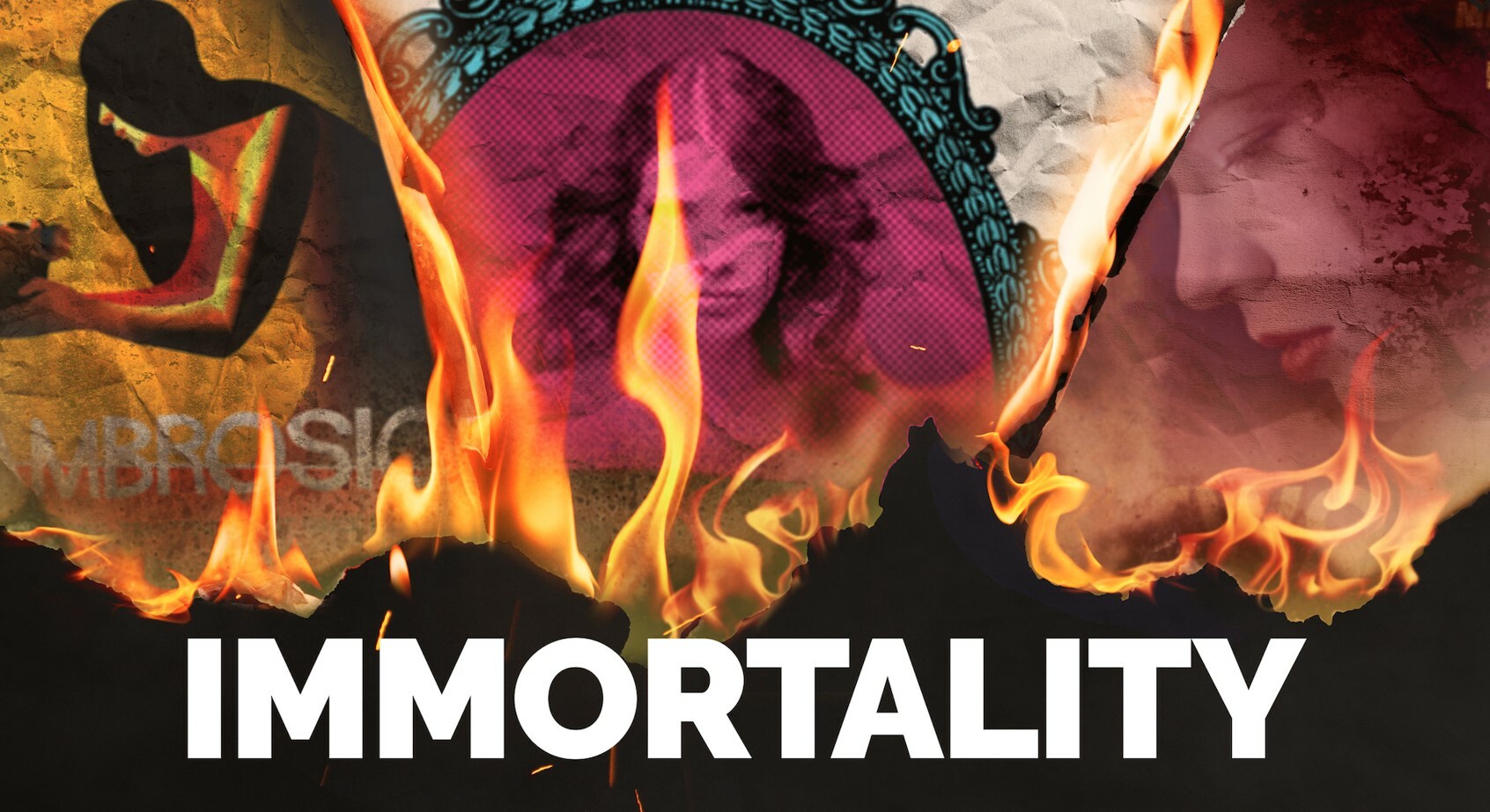 Better Immortality Banner