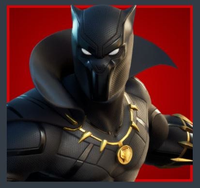 Black Panther Skin