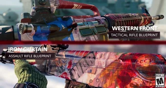 Co D Confrontation Weapons