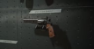 Cold War Best Pistols Magnum