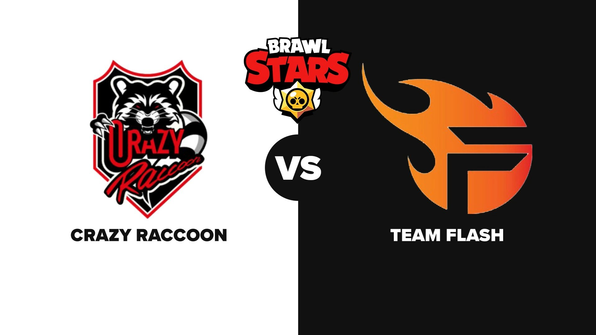 Crazy Raccoon Team Flash