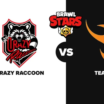 Crazy Raccoon Team Flash