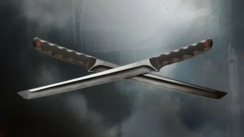 Dual Kodachi