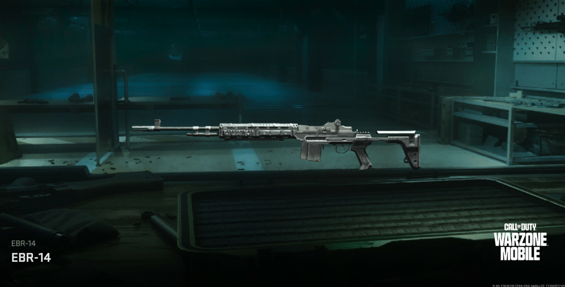 Warzone Mobile Worst Marksman Rifle EBR-14