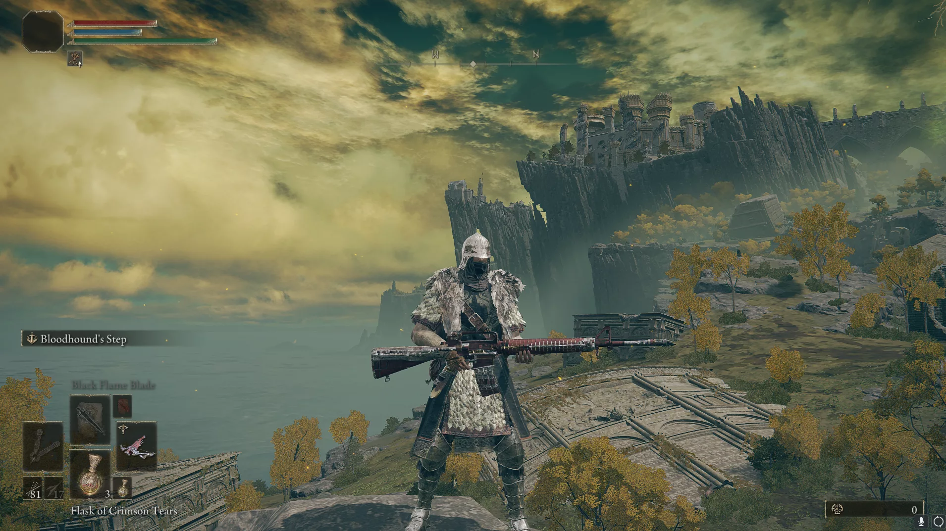 Elden Ring Gun Mod