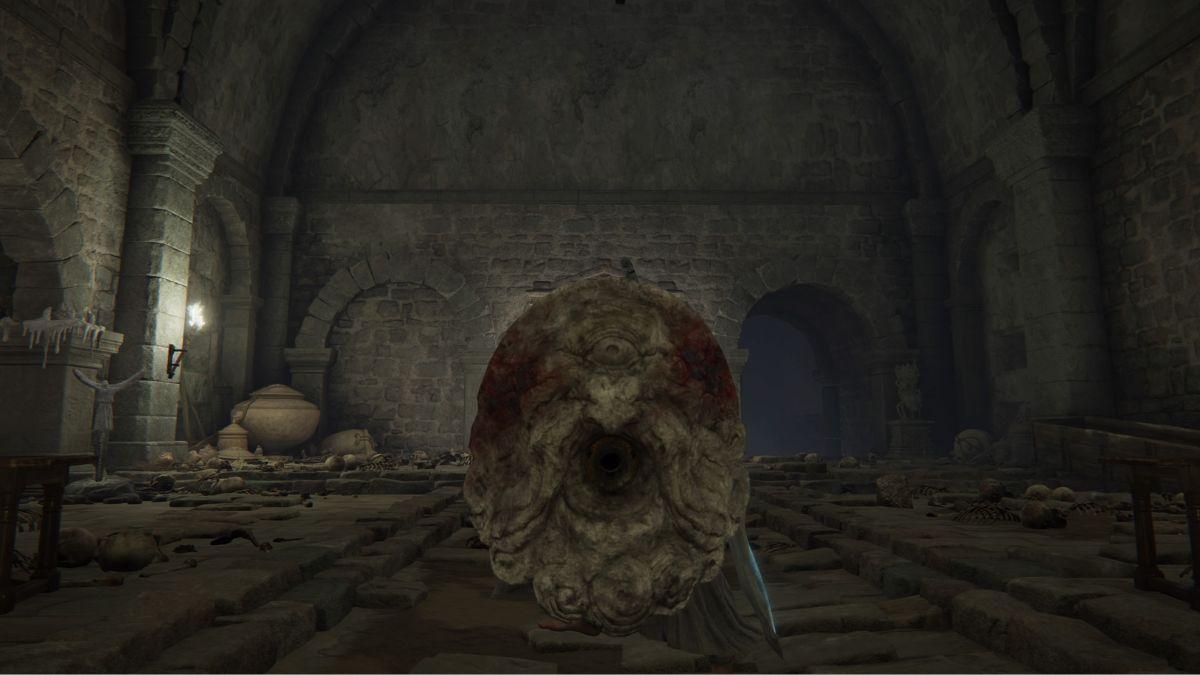 Elden Ring One Eyed Shield