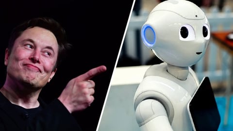 Elon Musk Robot