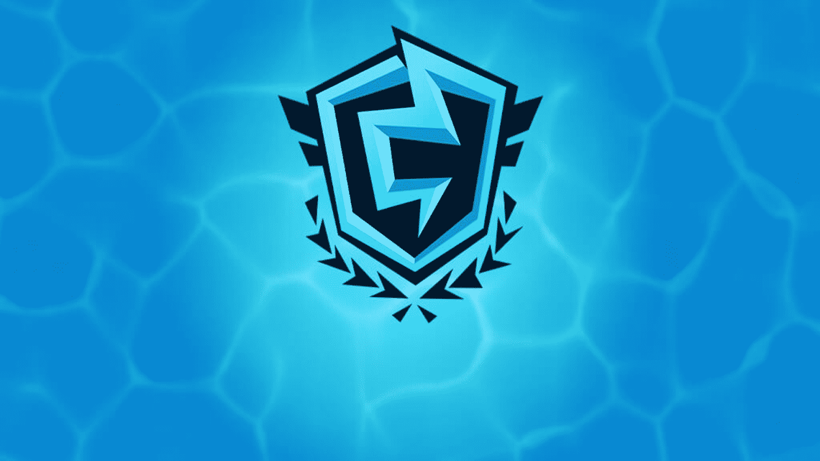 FNCS