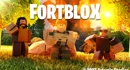 Fortblox Cover