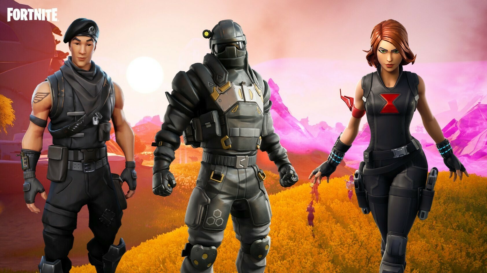 Fortnite Pro Skins