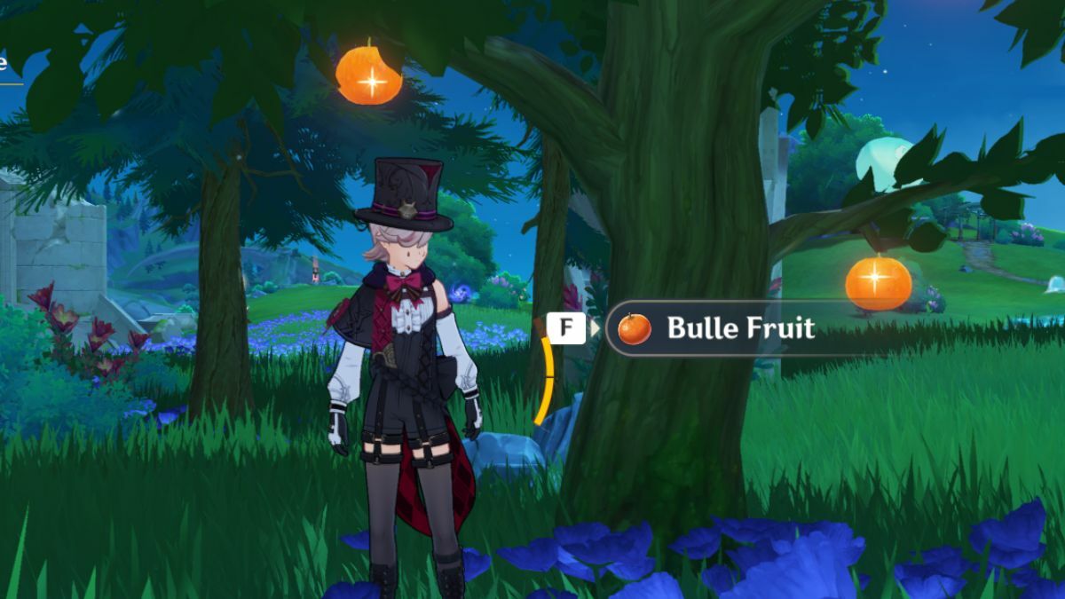 Genshin Impact Bulle Fruit Location