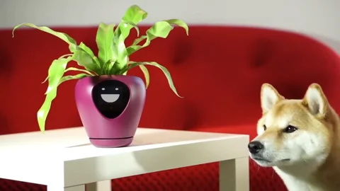 Go Planty The smart planter with emotions 0 2 screenshot