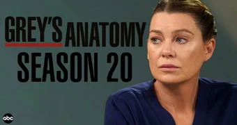 Greys Anamoty Season 20