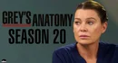 Greys Anamoty Season 20