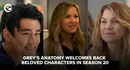 Greys Anatomy Welcomes Back Beloved Characters In Season 20