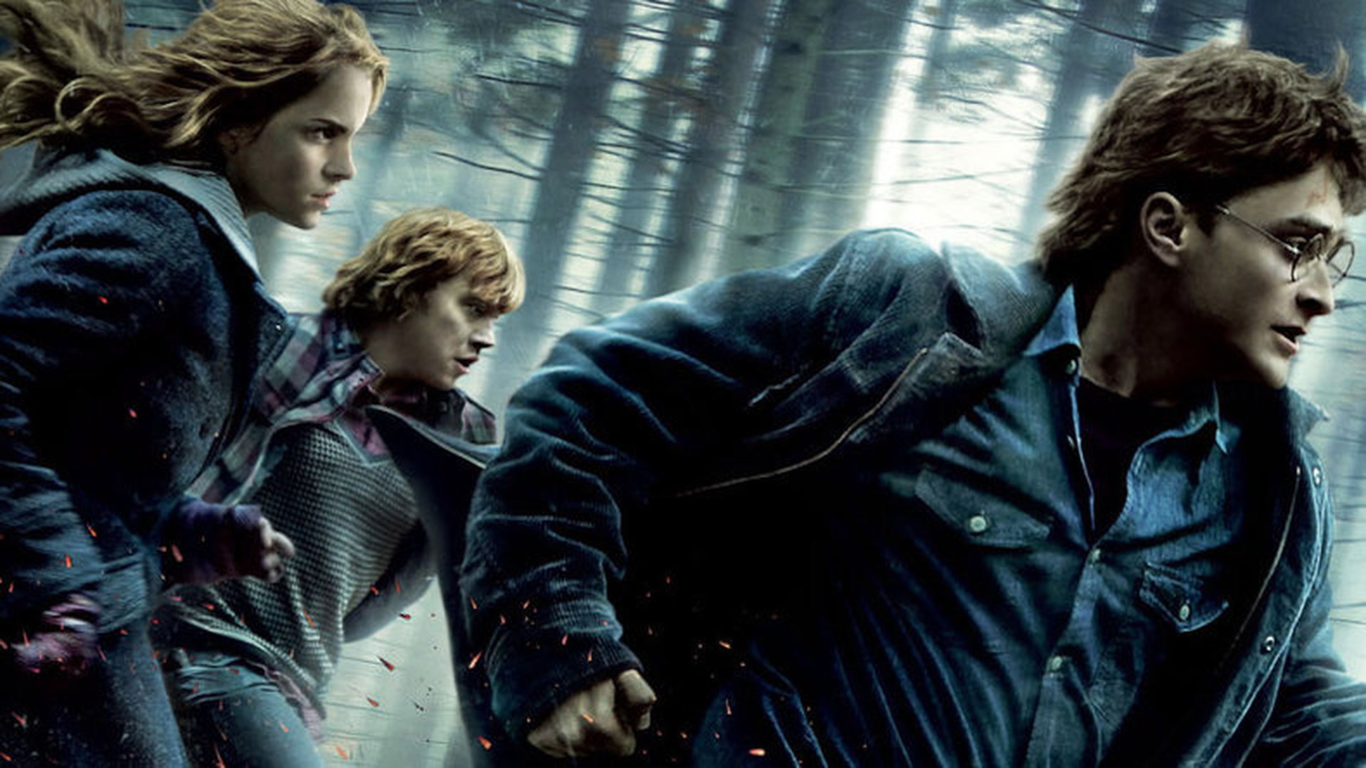 Harry Potter and the Deathly Hallows Part 1