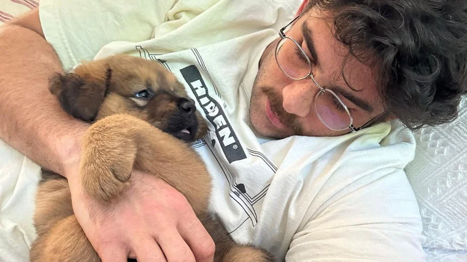 "This Is The Gucci Of Dogs" Hasan Adopts One Of The… EarlyGame