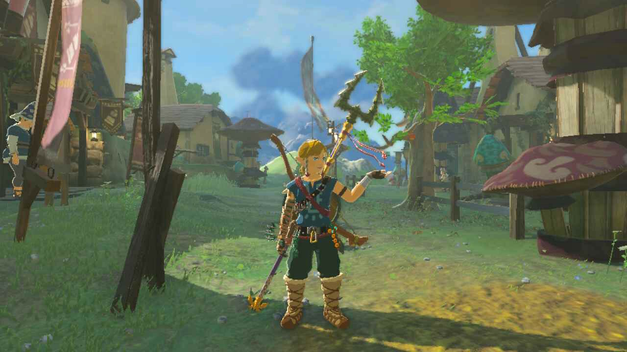 Zelda: Tears of the Kingdom Link in Hateno Village