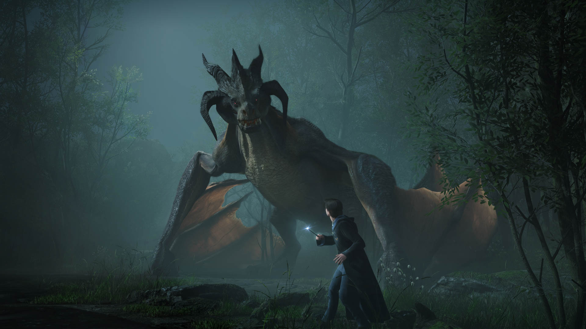 Hogwarts Legacy Drachen Kampf