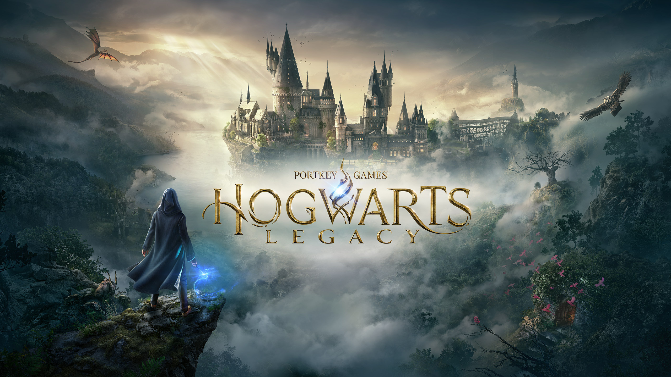 Hogwarts Legacy Switch