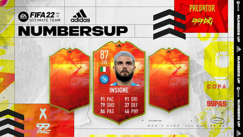 Insigne Header