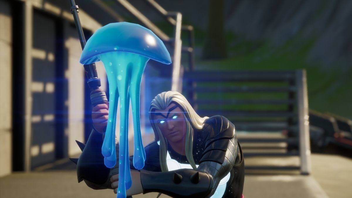 Jellyfish