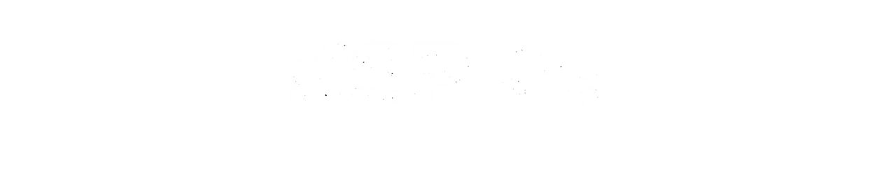 KSP 45