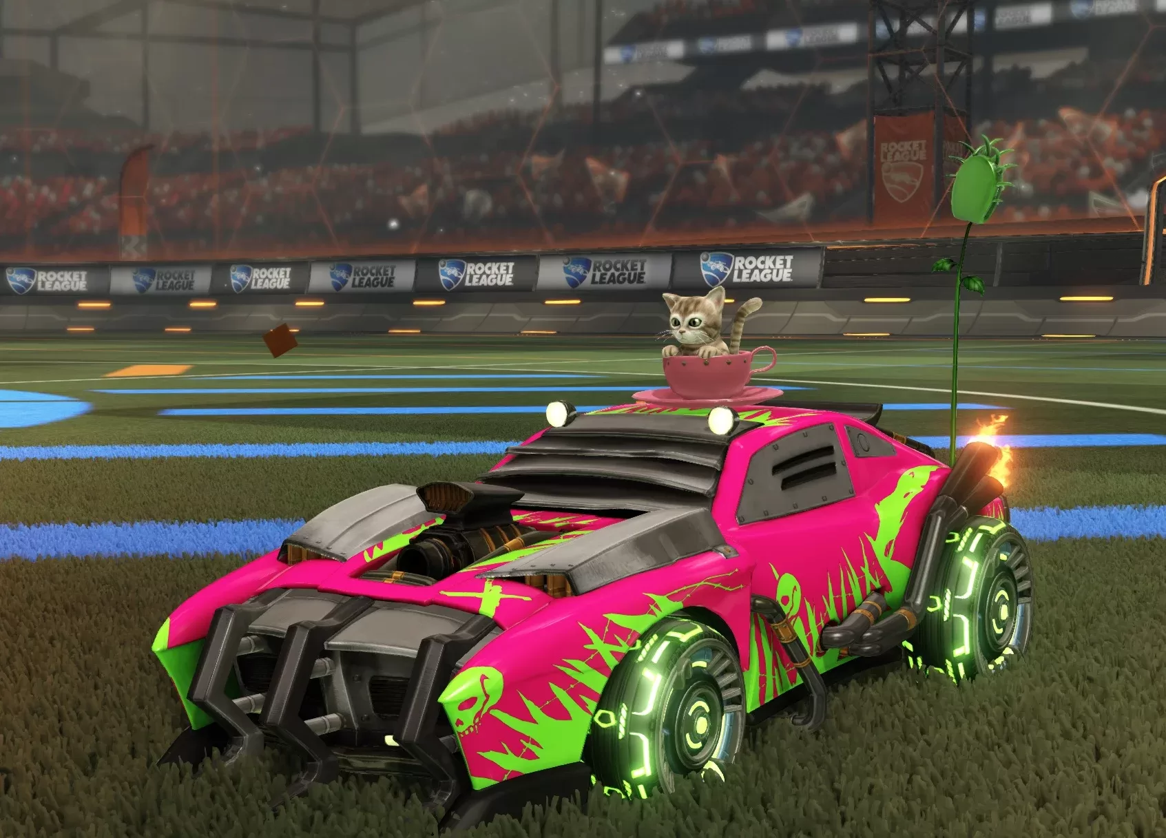 Kitten Cup Topper