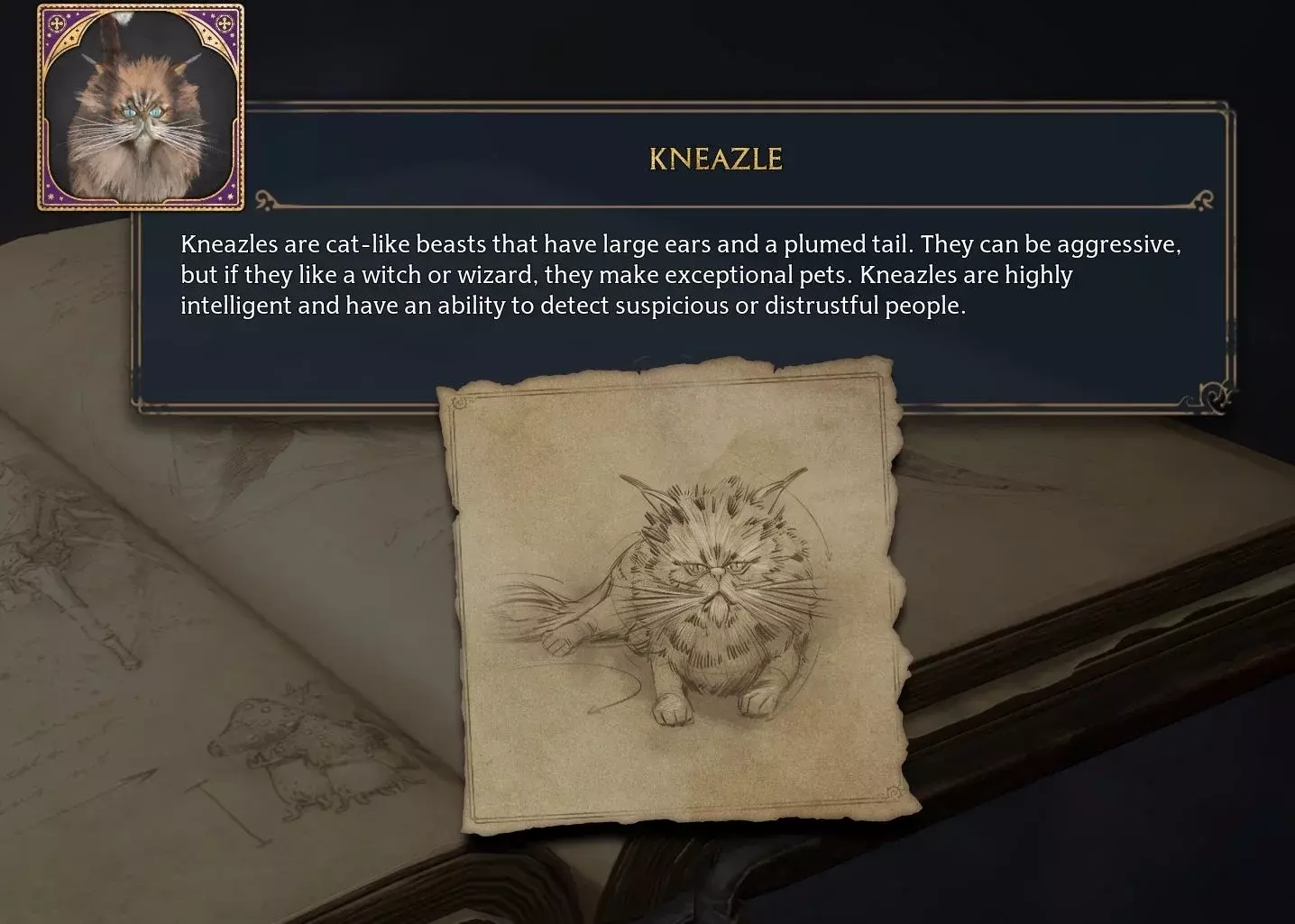 Hogwarts Legacy Kneazle