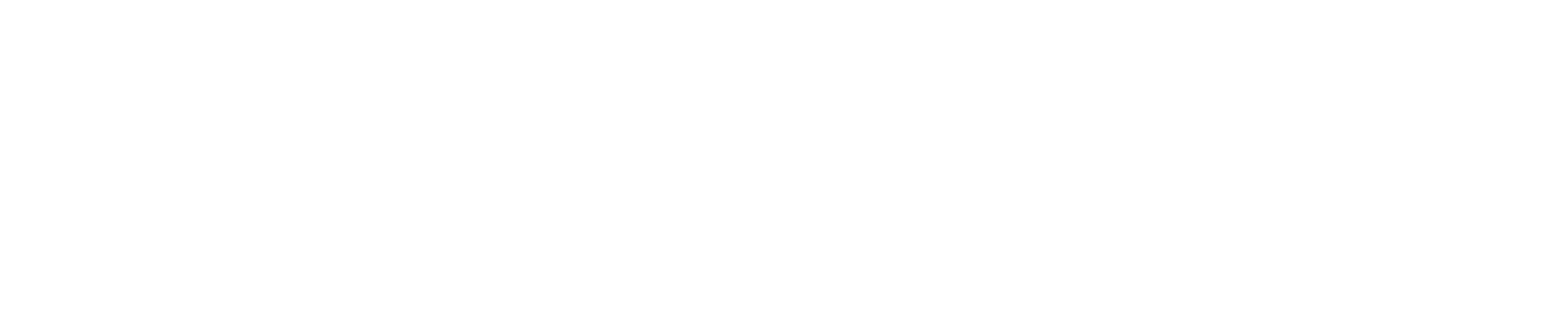 LACHMANN 556 PNG