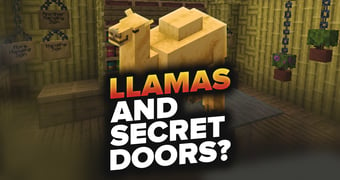 Llama EN 1zu1