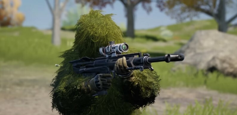 Lynx AMR