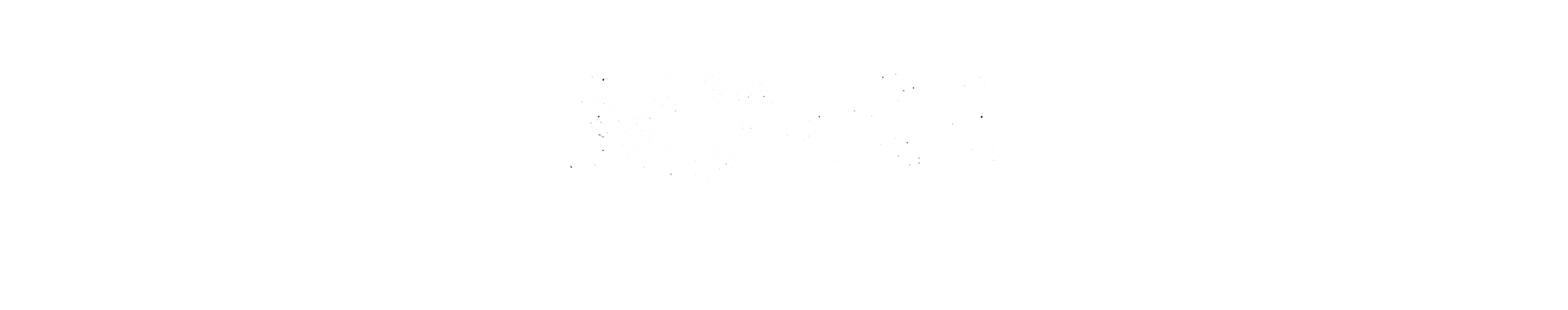 NZ41 PNG