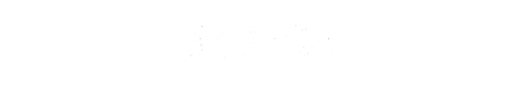 NZ41 PNG