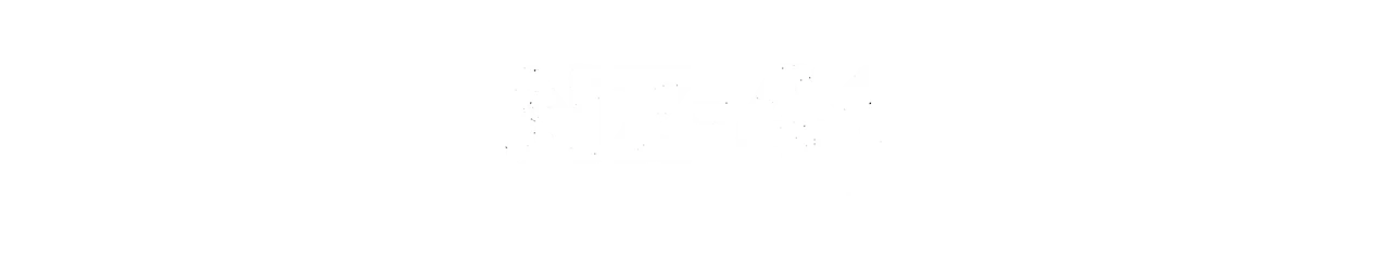 NZ-41