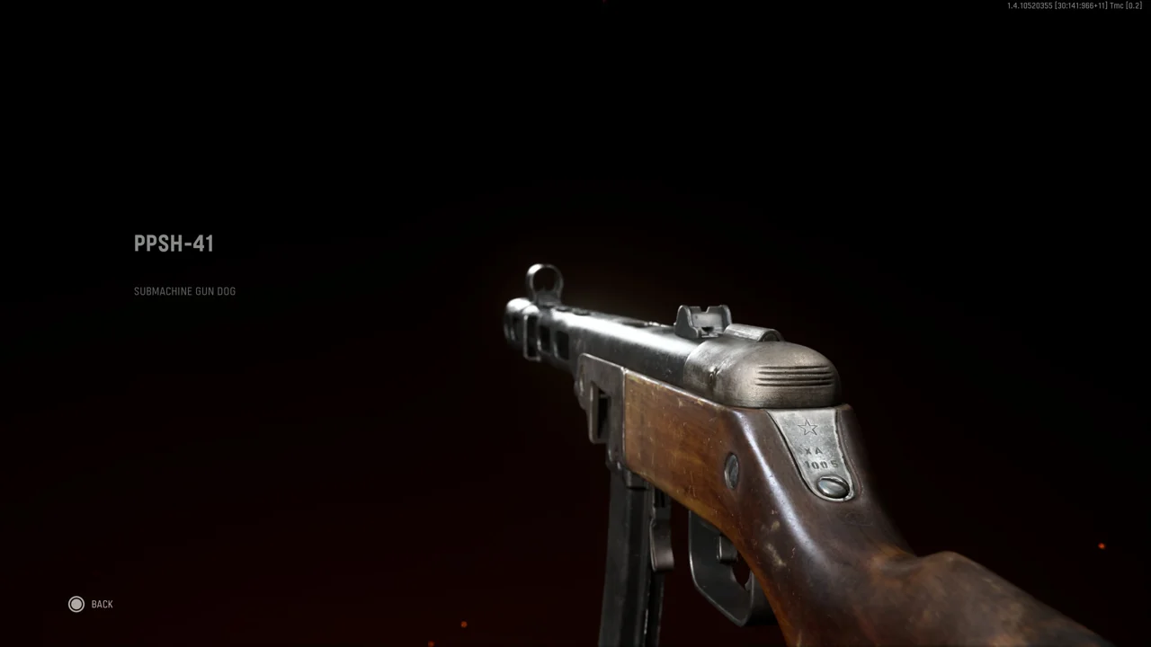 beste MP Vanguard PPSH-41