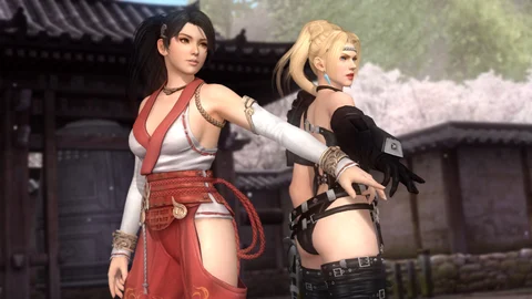 PS3 game Dead or alive 5